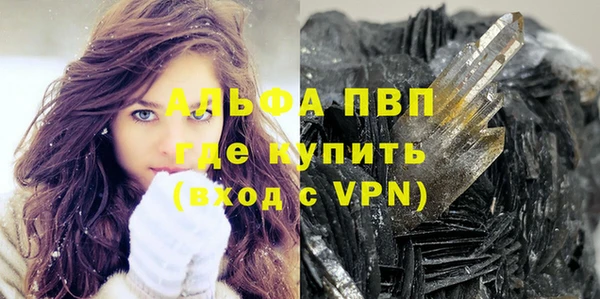 Альфа ПВП Верея