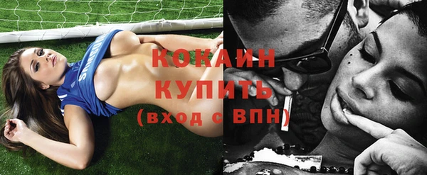 Альфа ПВП Верея