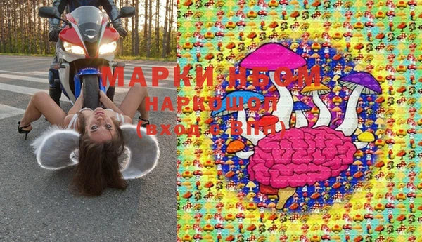 Альфа ПВП Верея