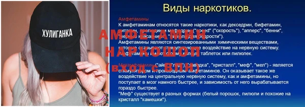Альфа ПВП Верея